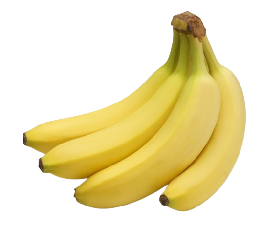 Mangue
