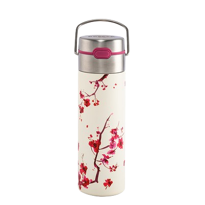 Bouteille isotherme double paroi avec infuseur