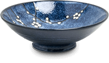 Plat japonais – motif de gui